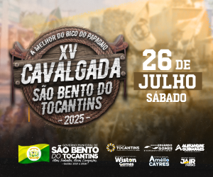Publicidade