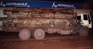 caminhão usado para transportar madeira sem autorização legal