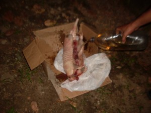 112800_jpglargura_900