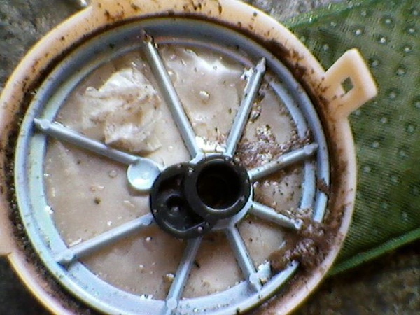 557912_474954775887678_16649573_n