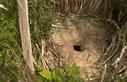 Buraco tipo privada onde alunos fazem necessidades fisiológicas