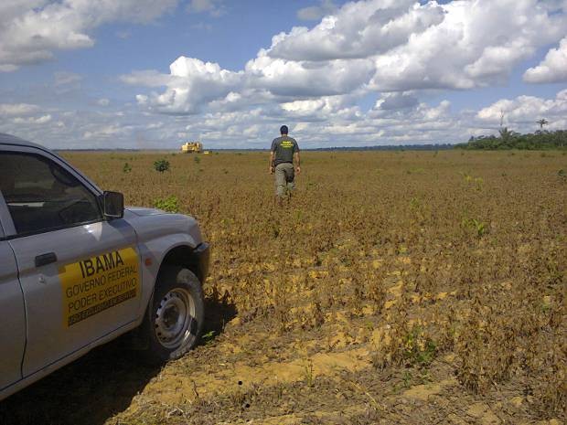 Fazendas onde Ibama realizou apreensões já tinham histórico de multas por desmatamentos ilegais (Foto: Divulgação/Ibama)