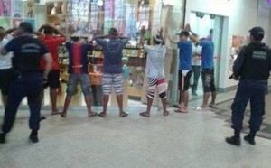 destaque-254071-castanheira