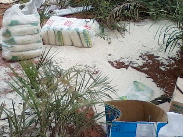 1391769_459005004220822_951497433_n