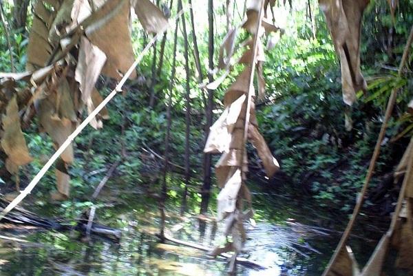 Nascente do córrego Caçador, em Xambioá