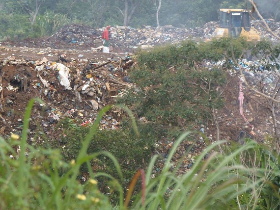 1044154_441753225951287_1424131249_n