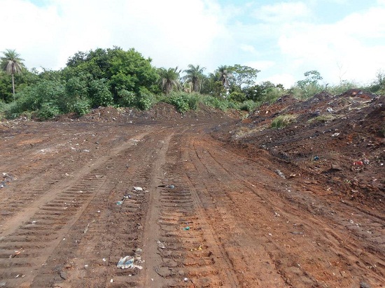 1555418_441755065951103_1564687879_n