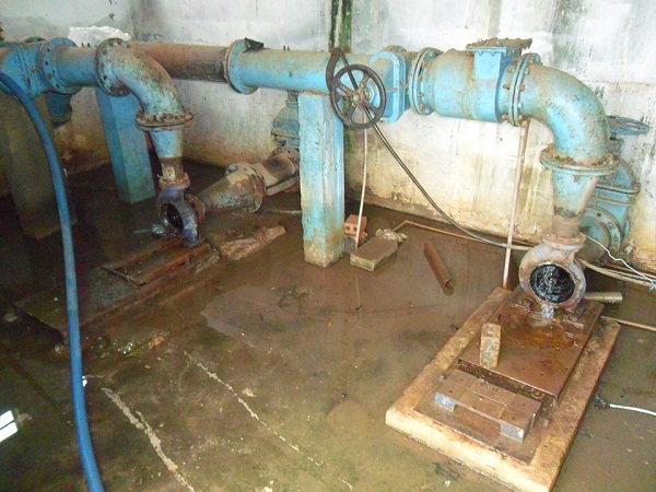 1901900_626441464116625_1332480309_n