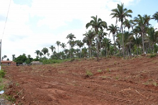 Local onde será construído o novo campus da UFT em Tocantinópolis