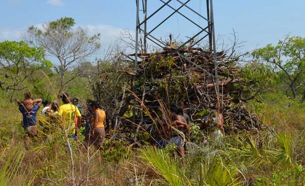 torre_terra_indigena_