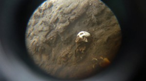 Imagem mostra múmia encontrada por acaso por crianças no Chile