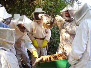 Assentamento tem 40 famílias produtoras de mel. (Foto: Coofamel / Divulgação)
