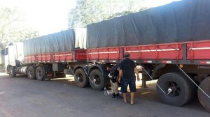 bitrem_adult_todo_o_conj._01-06-14