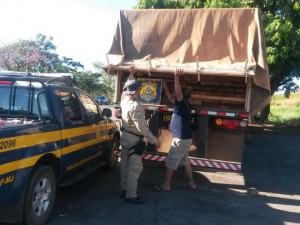 26m3_madeira_26-07-14_11