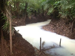 No último dia 7 de maio, igarapé ficou tingido de branco por causa do caulim