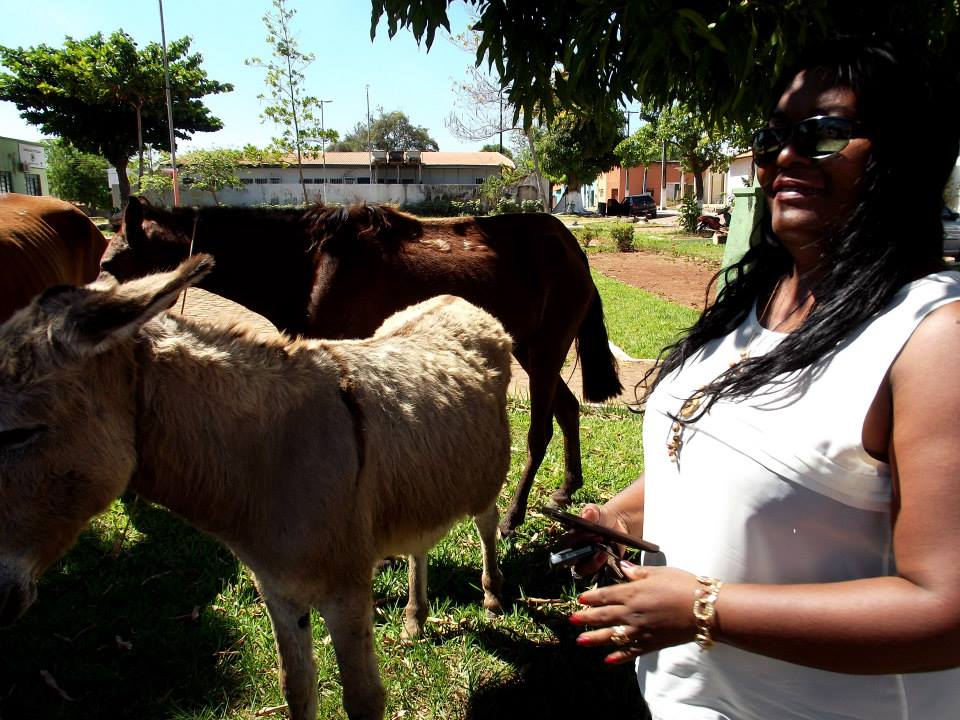 10408506_339467372886412_6088930344213164098_n