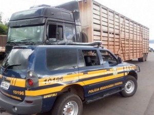 52_bovinos_machos_gta_vencido