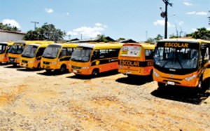 destaque-296607-ourilandia800x500