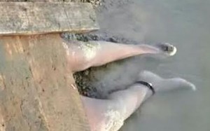 destaque-297298-espancada-chagas-filho