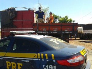 piso_ceramico_-_dcts_-_18-08-14_7