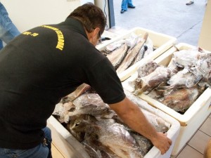 proconsumidor-2159-1_2