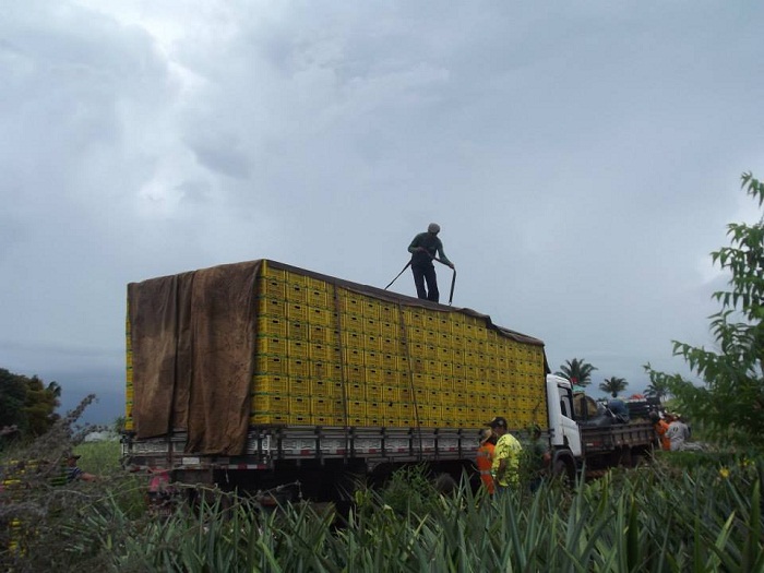 11173413_479745798858568_8419541548552685843_n