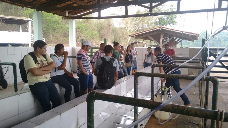 Aula de Campo em Araguatins