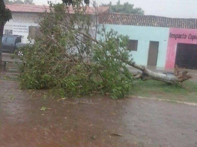 1450123184-929525091 (1)