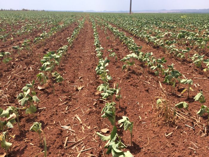 c4a3cccc0398b4fb4d303fd6493dc0e6