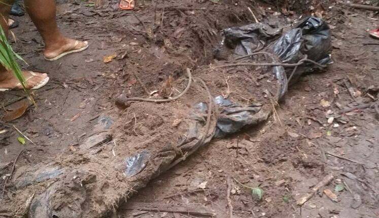 1452782628-1001084425