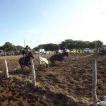 IMG-20160229-WA0115 (Copy)