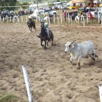 IMG-20160229-WA0129 (Copy)