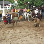 IMG-20160229-WA0131 (Copy)