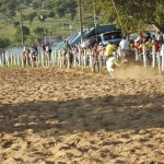 IMG-20160229-WA0143 (Copy)