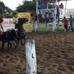 IMG-20160229-WA0147 (Copy)