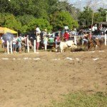 IMG-20160229-WA0148 (Copy)