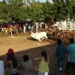 IMG-20160229-WA0152 (Copy)