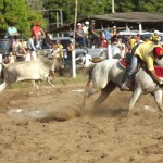 IMG-20160229-WA0157 (Copy)