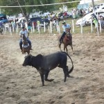 IMG-20160229-WA0159 (Copy)