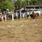 IMG-20160229-WA0161 (Copy)