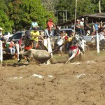 IMG-20160229-WA0167 (Copy)