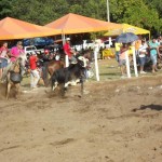 IMG-20160229-WA0170 (Copy)