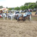 IMG-20160229-WA0175 (Copy)