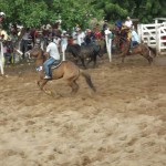 IMG-20160229-WA0179 (Copy)