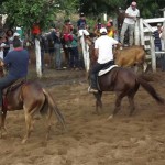 IMG-20160229-WA0182 (Copy)