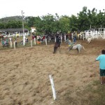 IMG-20160229-WA0183 (Copy)