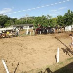 IMG-20160229-WA0190 (Copy)