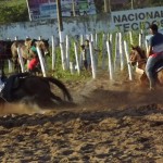 IMG-20160229-WA0191 (Copy)