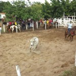 IMG-20160229-WA0192 (Copy)