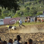 IMG-20160229-WA0193 (Copy)